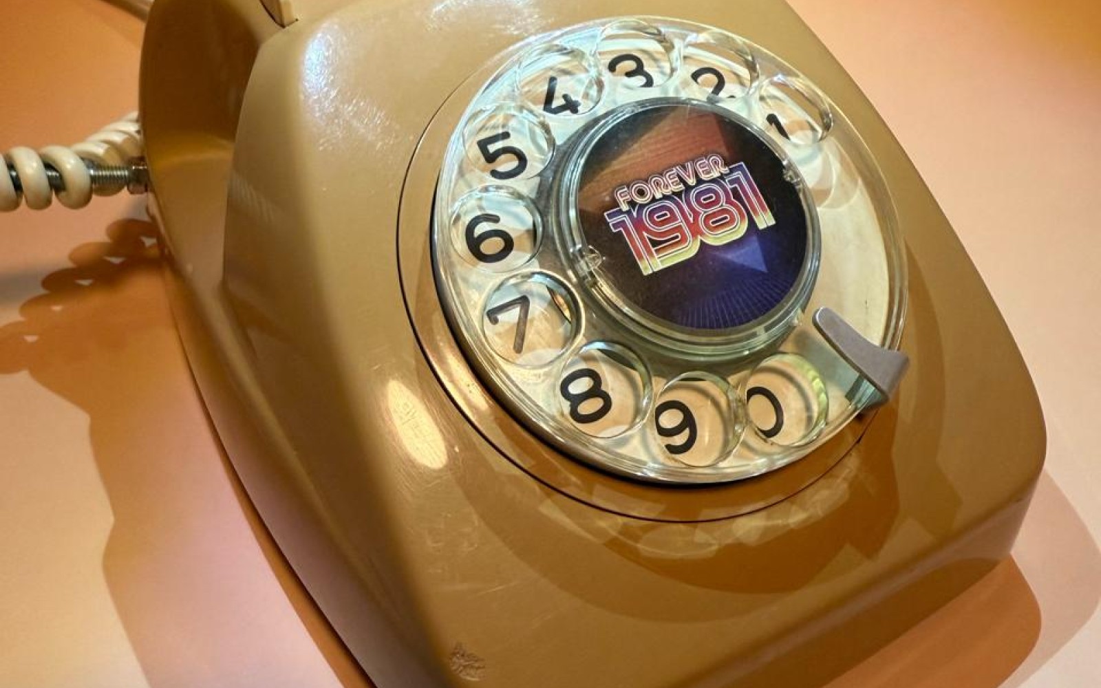 Forever 1981 – photo principale