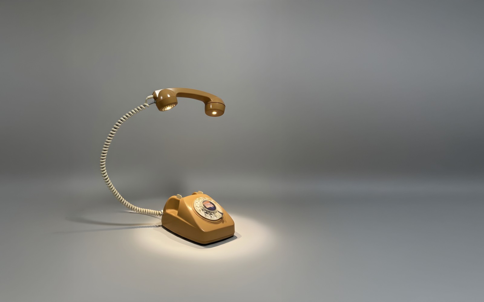 Forever 1981 – Atelier N°24